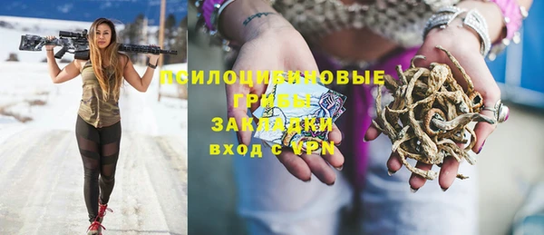 крисы Саяногорск