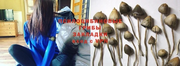 крисы Семикаракорск