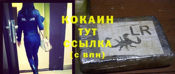 сатива Снежинск
