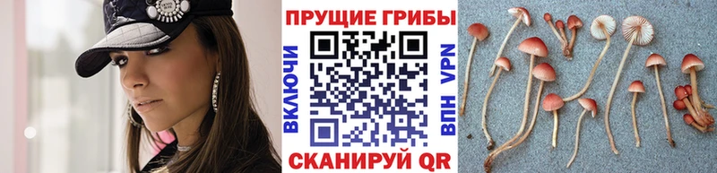 Галлюциногенные грибы мицелий  Купить закладки  Зима 